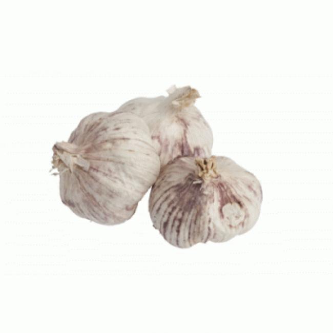 Ail violet