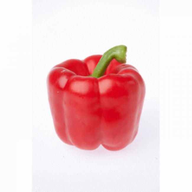 Poivron rouge