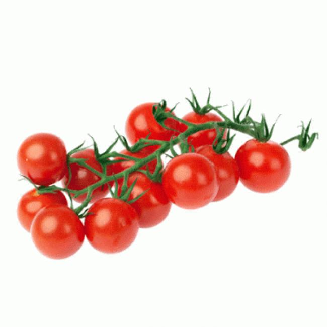 Tomate cerise grappe "Rubis"