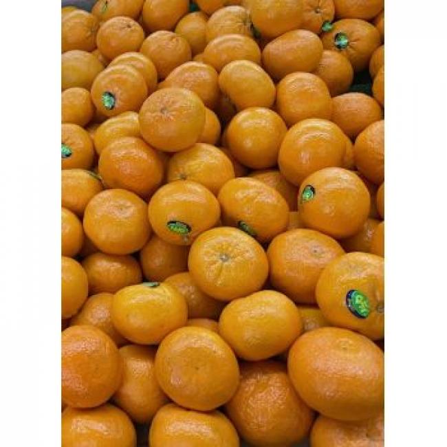 Mandarine nadorcott