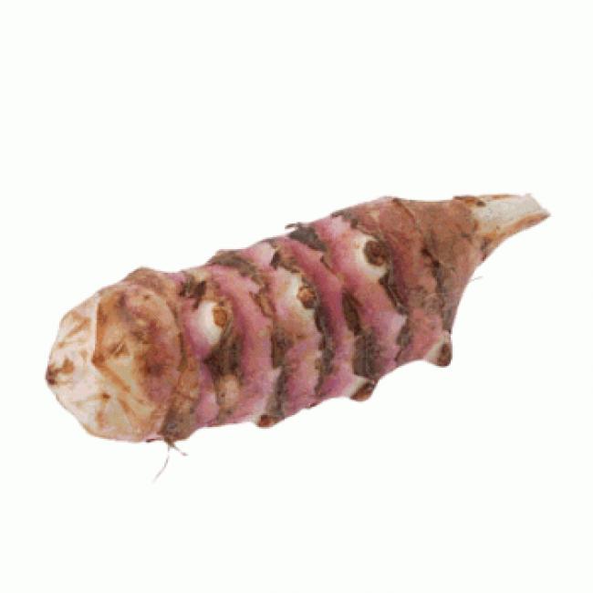 Topinambour