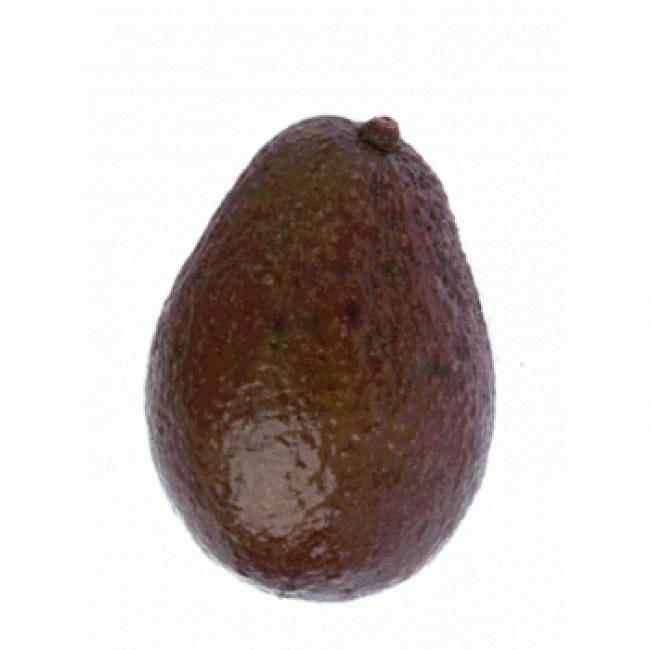 Avocat