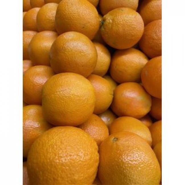 Orange  lane late