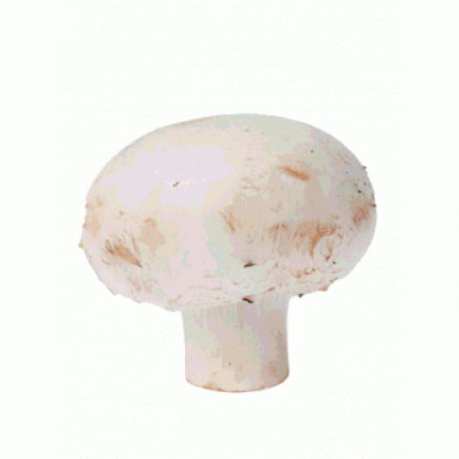 Champignon de Paris