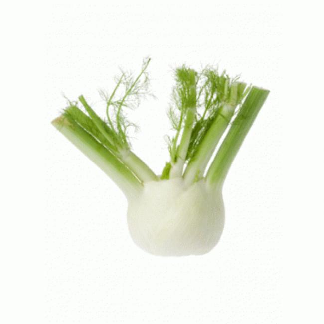 Fenouil