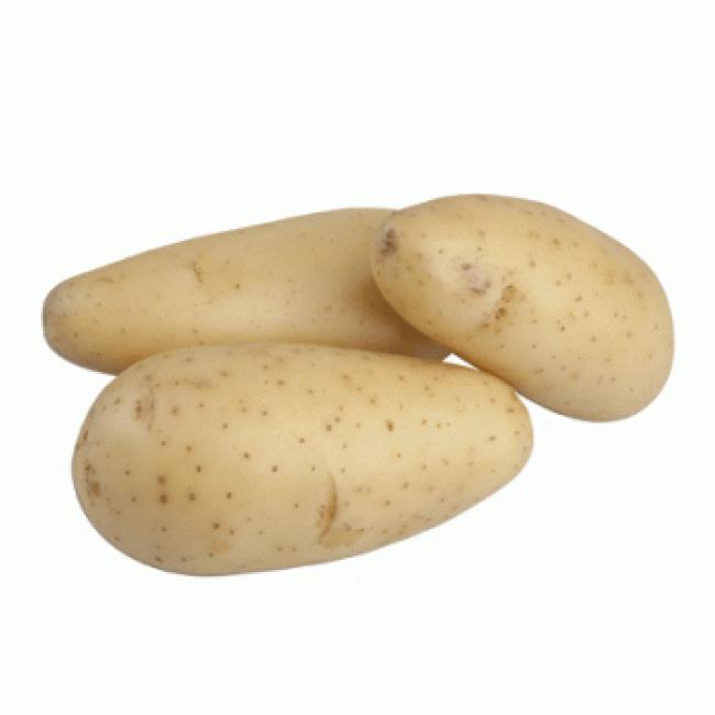 pomme de terre  celtiane  ( chair ferme)