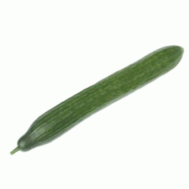 Concombre