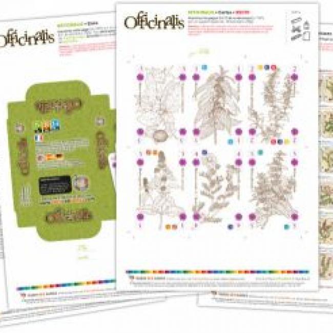 Officinalis en PRINT AND PLAY à COLORIER